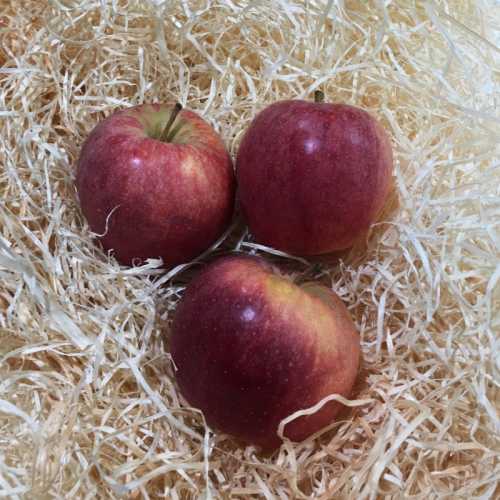Pomme Gala - 500 g / Ou pomme bicolore selon dispo