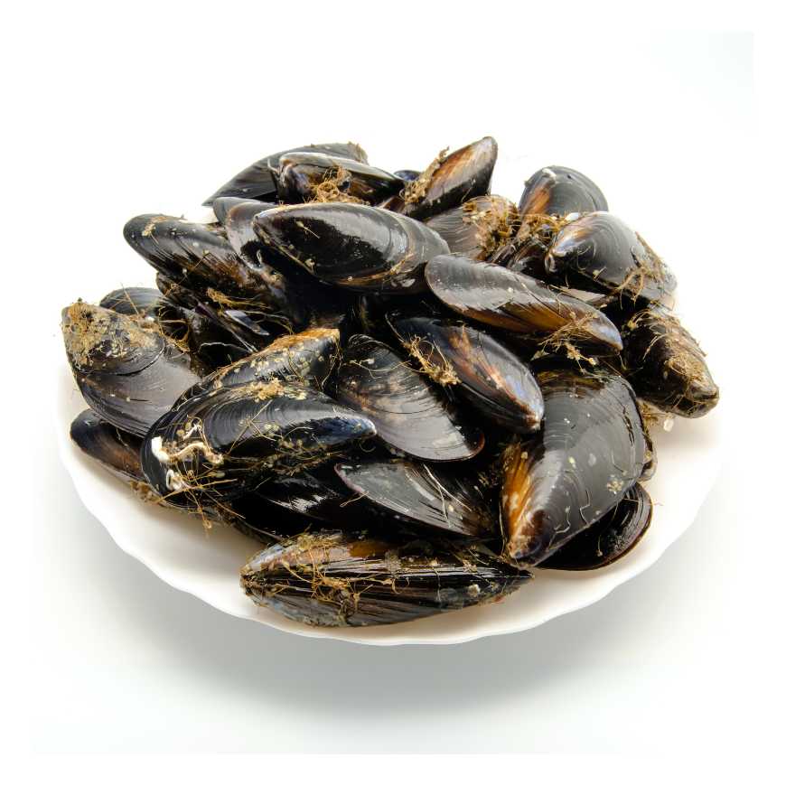 Moules d'Espagne très grosses - 500 g