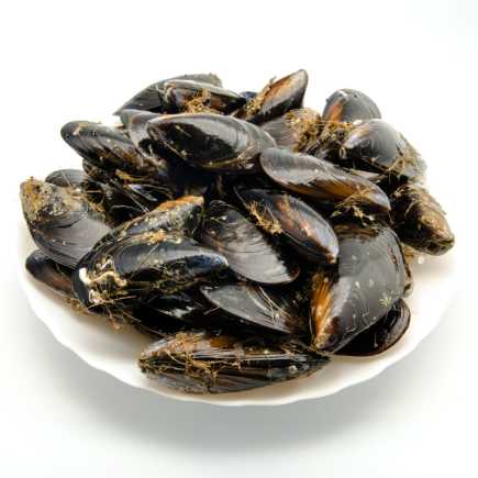 Moules d'Espagne très grosses - 500 g